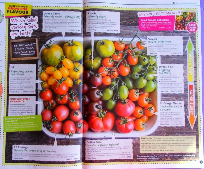 james wong tomatoes