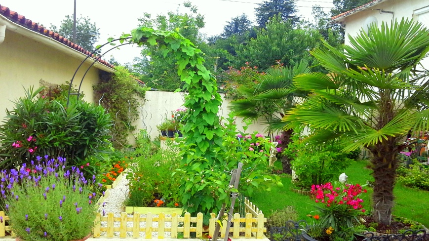 my mum's garden