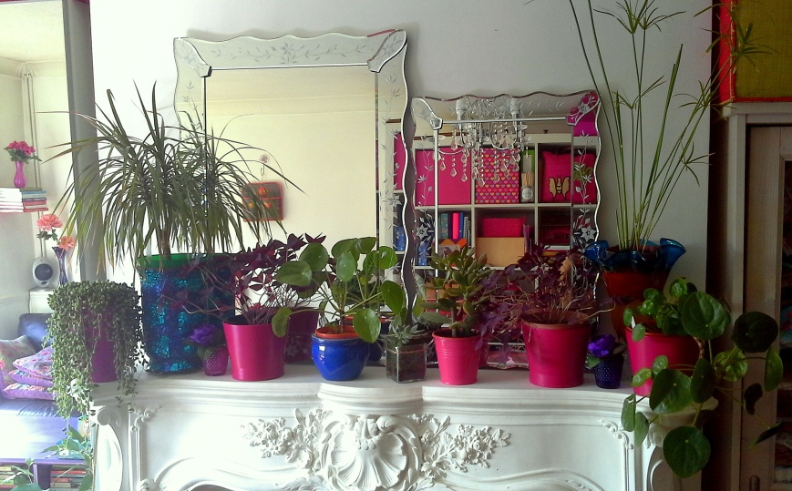 plants on mantel shelf